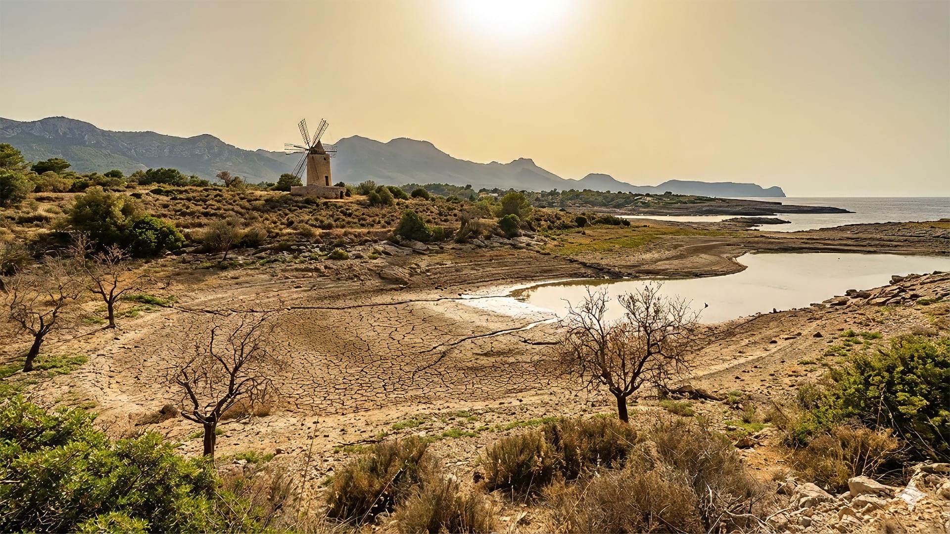 Mallorcan landscape in climate change